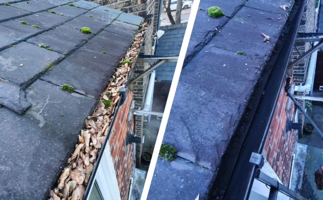 Blank Collage Template-2